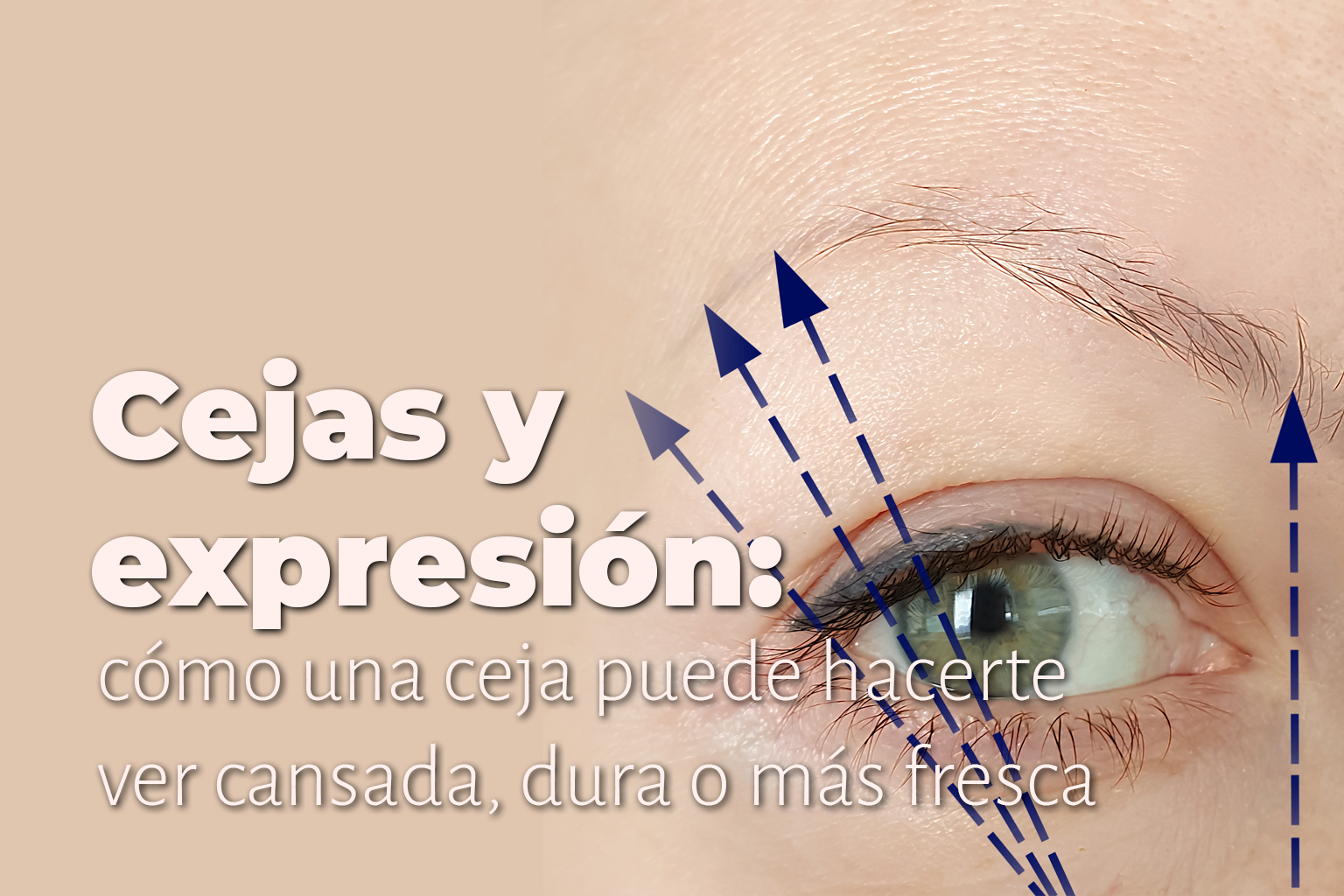 triccia-cejas-y-expresion