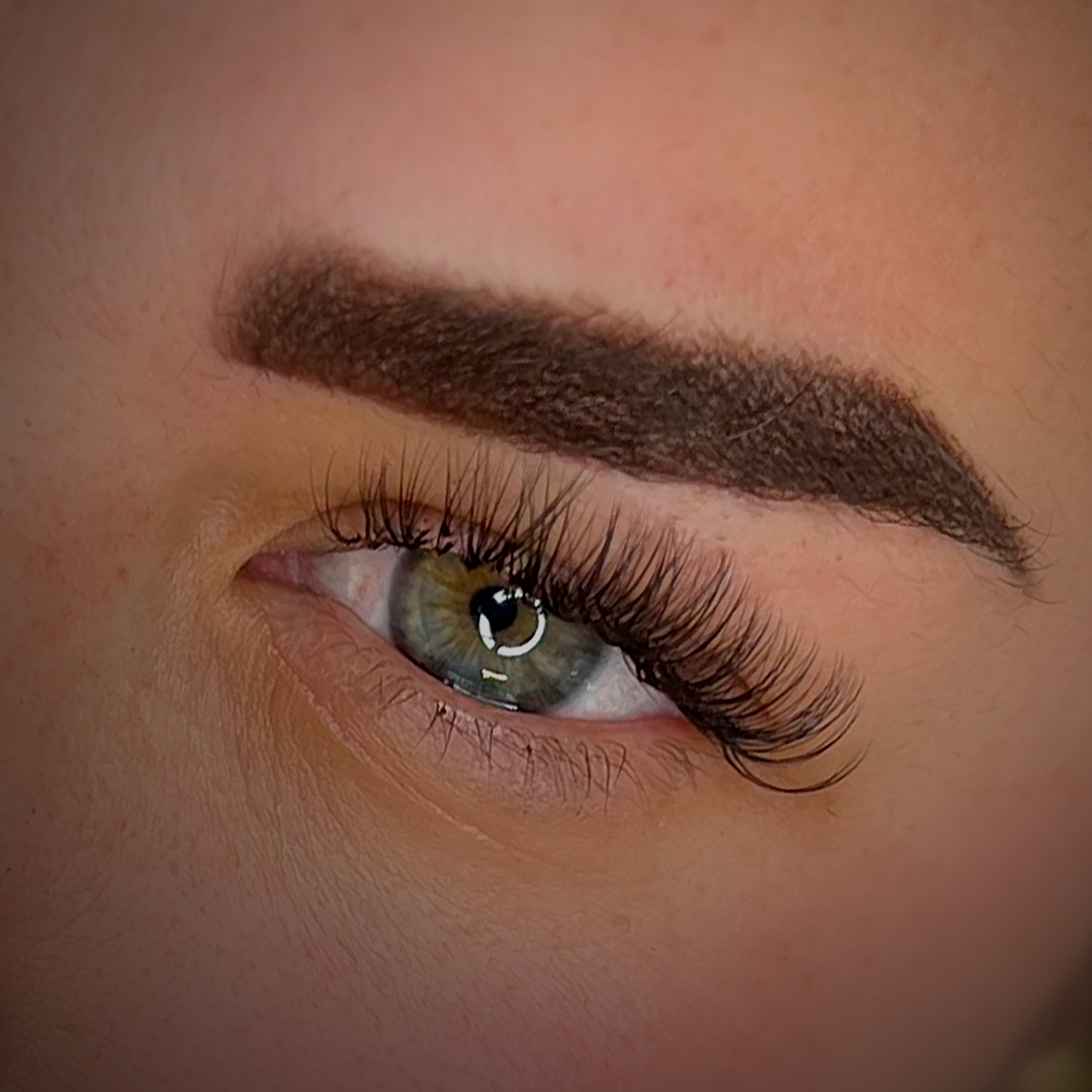 TRICCIA POWDER BROWS
